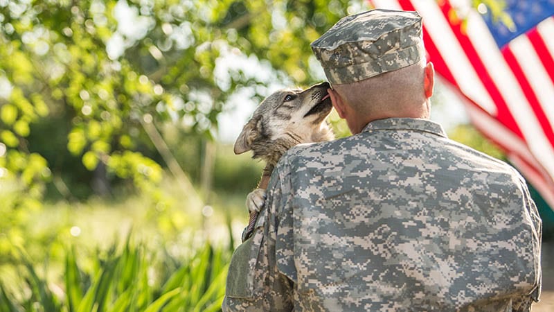 Military Service Dog Licking a soldier