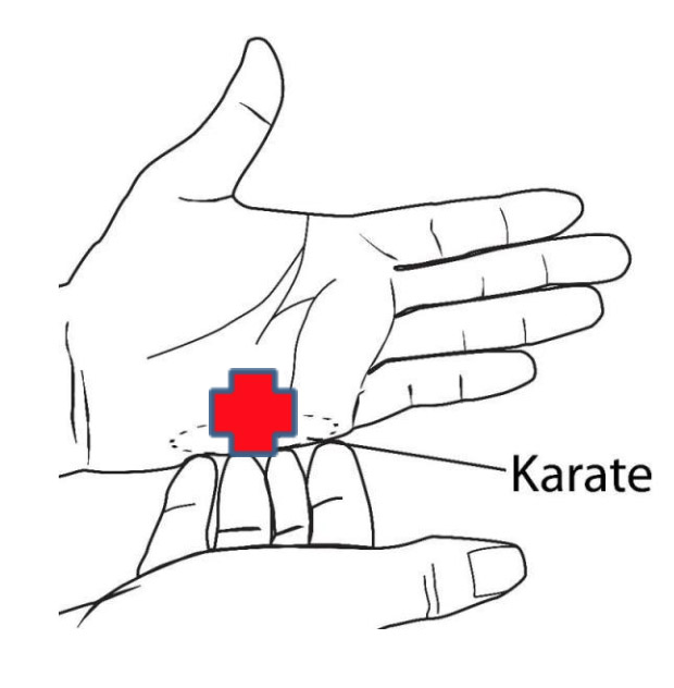 Karate Chop Diagram